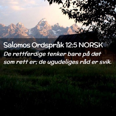 Picture 02 - Salomos Ordspråk 12:5 NORSK - De rettferdige tenker bare på det som rett er; - Bible Verse Picture