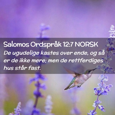 Picture 02 - Salomos Ordspråk 12:7 NORSK - De ugudelige kastes over ende, og så er de ikke - Bible Verse Picture
