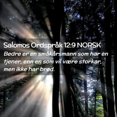 Picture 02 - Salomos Ordspråk 12:9 NORSK - Bedre er en småkårsmann som har en tjener, enn - Bible Verse Picture