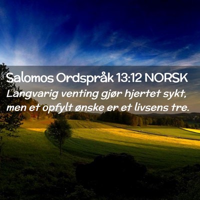 Picture 02 - Salomos Ordspråk 13:12 NORSK - Langvarig venting gjør hjertet sykt, men et - Bible Verse Picture