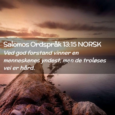 Picture 02 - Salomos Ordspråk 13:15 NORSK - Ved god forstand vinner en menneskenes yndest, - Bible Verse Picture