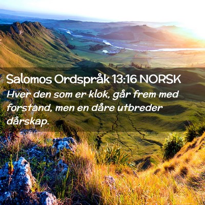 Picture 02 - Salomos Ordspråk 13:16 NORSK - Hver den som er klok, går frem med forstand, men - Bible Verse Picture