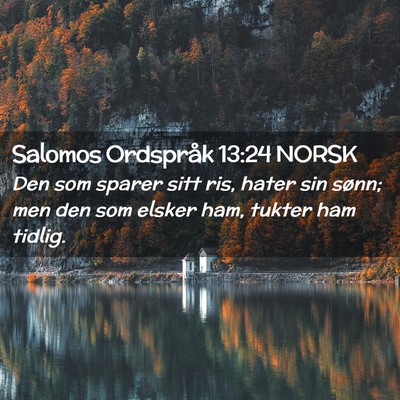 Picture 02 - Salomos Ordspråk 13:24 NORSK - Den som sparer sitt ris, hater sin sønn; men den - Bible Verse Picture