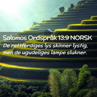 Picture 02 - Salomos Ordspråk 13:9 NORSK - De rettferdiges lys skinner lystig, men de - Bible Verse Picture