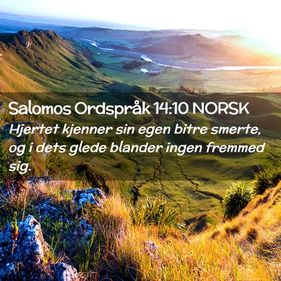 Picture 02 - Salomos Ordspråk 14:10 NORSK - Hjertet kjenner sin egen bitre smerte, og i dets - Bible Verse Picture