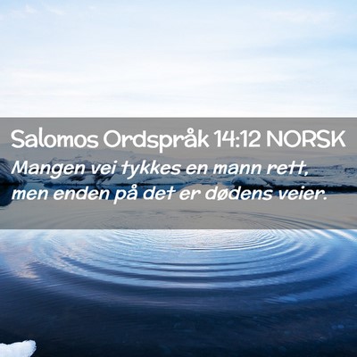 Picture 02 - Salomos Ordspråk 14:12 NORSK - Mangen vei tykkes en mann rett, men enden på det - Bible Verse Picture