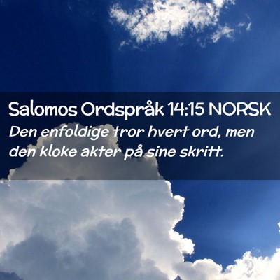 Picture 02 - Salomos Ordspråk 14:15 NORSK - Den enfoldige tror hvert ord, men den kloke akter - Bible Verse Picture