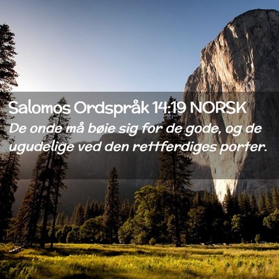 Picture 02 - Salomos Ordspråk 14:19 NORSK - De onde må bøie sig for de gode, og de - Bible Verse Picture