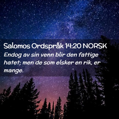 Picture 02 - Salomos Ordspråk 14:20 NORSK - Endog av sin venn blir den fattige hatet; men de - Bible Verse Picture