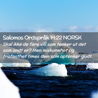 Picture 02 - Salomos Ordspråk 14:22 NORSK - Skal ikke de fare vill som tenker ut det som ondt - Bible Verse Picture