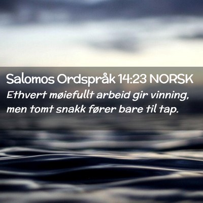 Picture 02 - Salomos Ordspråk 14:23 NORSK - Ethvert møiefullt arbeid gir vinning, men tomt - Bible Verse Picture