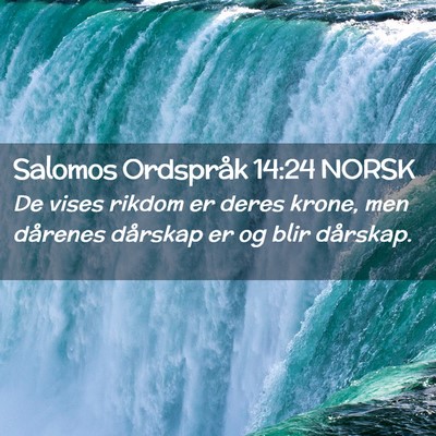 Picture 02 - Salomos Ordspråk 14:24 NORSK - De vises rikdom er deres krone, men dårenes - Bible Verse Picture