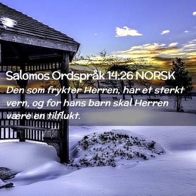 Picture 02 - Salomos Ordspråk 14:26 NORSK - Den som frykter Herren, har et sterkt vern, og - Bible Verse Picture