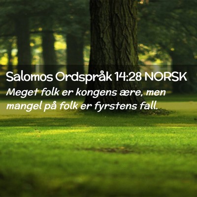 Picture 02 - Salomos Ordspråk 14:28 NORSK - Meget folk er kongens ære, men mangel på folk - Bible Verse Picture