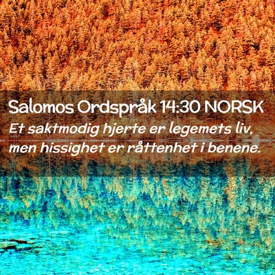 Picture 02 - Salomos Ordspråk 14:30 NORSK - Et saktmodig hjerte er legemets liv, men - Bible Verse Picture