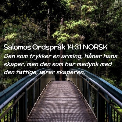 Picture 02 - Salomos Ordspråk 14:31 NORSK - Den som trykker en arming, håner hans skaper, - Bible Verse Picture
