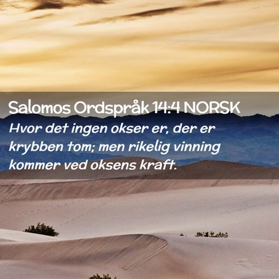 Picture 02 - Salomos Ordspråk 14:4 NORSK - Hvor det ingen okser er, der er krybben tom; men - Bible Verse Picture