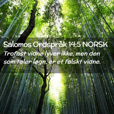 Picture 02 - Salomos Ordspråk 14:5 NORSK - Trofast vidne lyver ikke, men den som taler - Bible Verse Picture