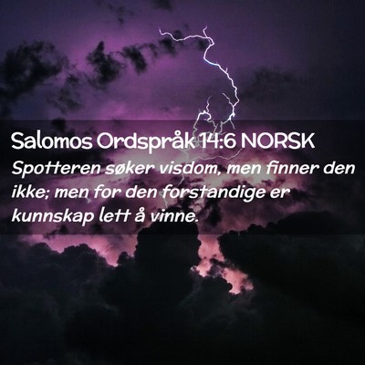 Picture 02 - Salomos Ordspråk 14:6 NORSK - Spotteren søker visdom, men finner den ikke; men - Bible Verse Picture