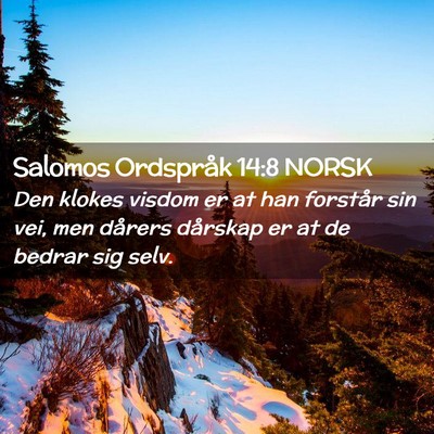Picture 02 - Salomos Ordspråk 14:8 NORSK - Den klokes visdom er at han forstår sin vei, men - Bible Verse Picture