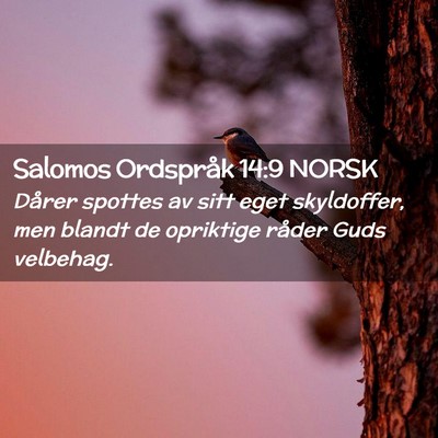 Picture 02 - Salomos Ordspråk 14:9 NORSK - Dårer spottes av sitt eget skyldoffer, men - Bible Verse Picture