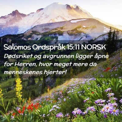 Picture 02 - Salomos Ordspråk 15:11 NORSK - Dødsriket og avgrunnen ligger åpne for Herren, - Bible Verse Picture