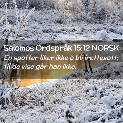 Picture 02 - Salomos Ordspråk 15:12 NORSK - En spotter liker ikke å bli irettesatt; til de - Bible Verse Picture
