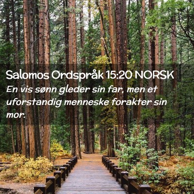 Picture 02 - Salomos Ordspråk 15:20 NORSK - En vis sønn gleder sin far, men et uforstandig - Bible Verse Picture