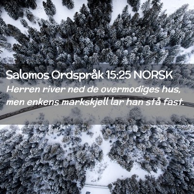 Picture 02 - Salomos Ordspråk 15:25 NORSK - Herren river ned de overmodiges hus, men enkens - Bible Verse Picture