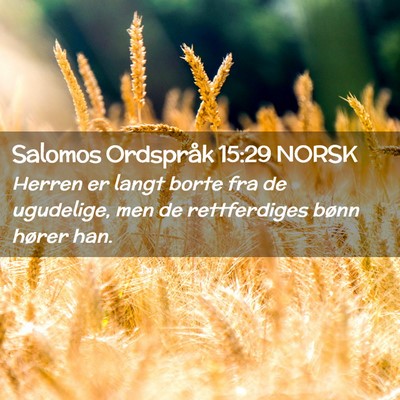 Picture 02 - Salomos Ordspråk 15:29 NORSK - Herren er langt borte fra de ugudelige, men de - Bible Verse Picture