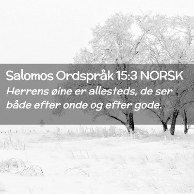 Picture 02 - Salomos Ordspråk 15:3 NORSK - Herrens øine er allesteds, de ser både efter - Bible Verse Picture