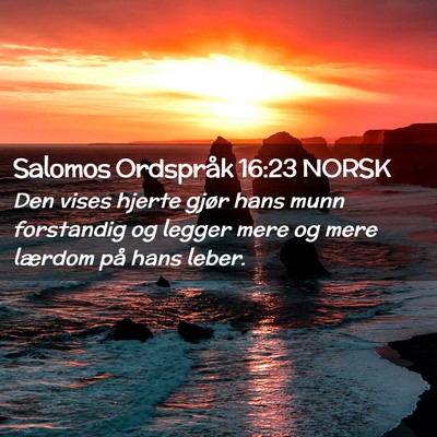 Picture 02 - Salomos Ordspråk 16:23 NORSK - Den vises hjerte gjør hans munn forstandig og - Bible Verse Picture
