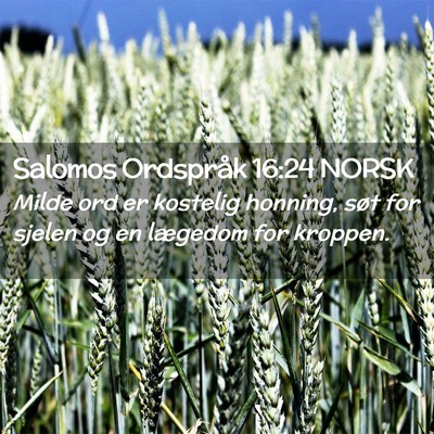 Picture 02 - Salomos Ordspråk 16:24 NORSK - Milde ord er kostelig honning, søt for sjelen og - Bible Verse Picture