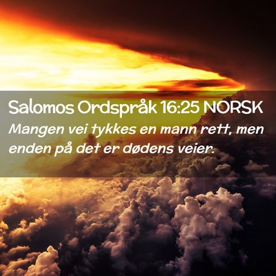 Picture 02 - Salomos Ordspråk 16:25 NORSK - Mangen vei tykkes en mann rett, men enden på det - Bible Verse Picture