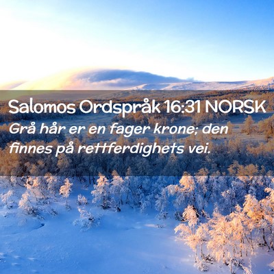 Picture 02 - Salomos Ordspråk 16:31 NORSK - Grå hår er en fager krone; den finnes på - Bible Verse Picture