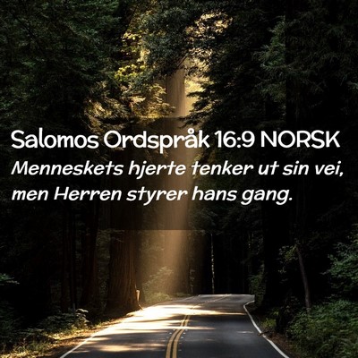 Picture 02 - Salomos Ordspråk 16:9 NORSK - Menneskets hjerte tenker ut sin vei, men Herren - Bible Verse Picture