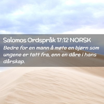 Picture 02 - Salomos Ordspråk 17:12 NORSK - Bedre for en mann å møte en bjørn som ungene - Bible Verse Picture