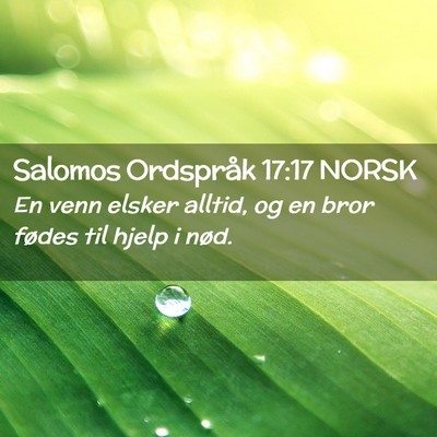 Picture 02 - Salomos Ordspråk 17:17 NORSK - En venn elsker alltid, og en bror fødes til - Bible Verse Picture