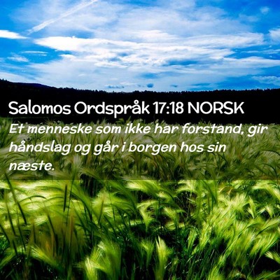 Picture 02 - Salomos Ordspråk 17:18 NORSK - Et menneske som ikke har forstand, gir håndslag - Bible Verse Picture