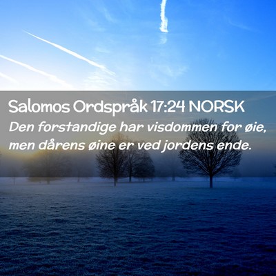 Picture 02 - Salomos Ordspråk 17:24 NORSK - Den forstandige har visdommen for øie, men - Bible Verse Picture