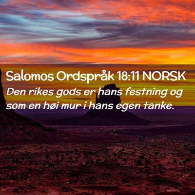 Picture 02 - Salomos Ordspråk 18:11 NORSK - Den rikes gods er hans festning og som en høi - Bible Verse Picture