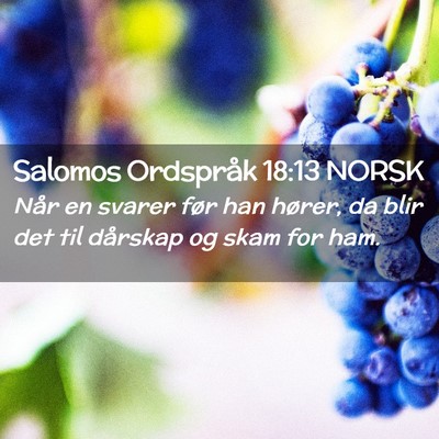 Picture 02 - Salomos Ordspråk 18:13 NORSK - Når en svarer før han hører, da blir det til - Bible Verse Picture