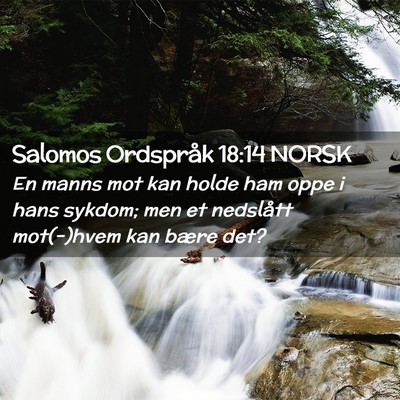 Picture 02 - Salomos Ordspråk 18:14 NORSK - En manns mot kan holde ham oppe i hans sykdom; - Bible Verse Picture