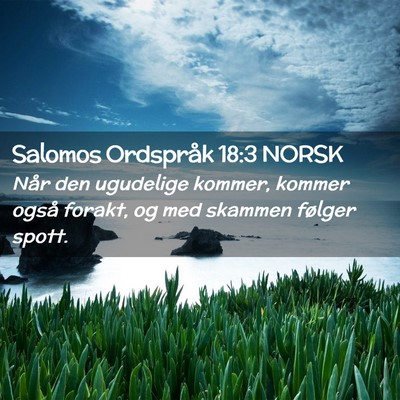 Picture 02 - Salomos Ordspråk 18:3 NORSK - Når den ugudelige kommer, kommer også forakt, - Bible Verse Picture