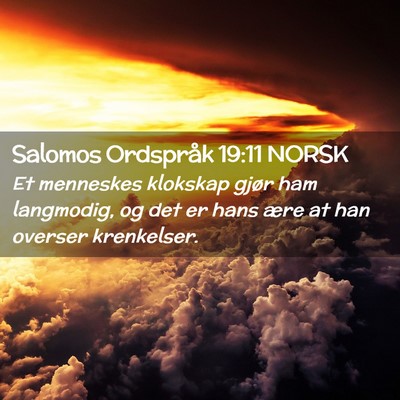 Picture 02 - Salomos Ordspråk 19:11 NORSK - Et menneskes klokskap gjør ham langmodig, og det - Bible Verse Picture