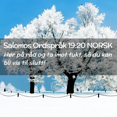 Picture 02 - Salomos Ordspråk 19:20 NORSK - Hør på råd og ta imot tukt, så du kan bli vis - Bible Verse Picture