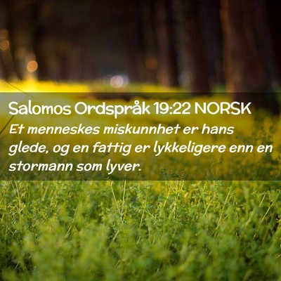Picture 02 - Salomos Ordspråk 19:22 NORSK - Et menneskes miskunnhet er hans glede, og en - Bible Verse Picture