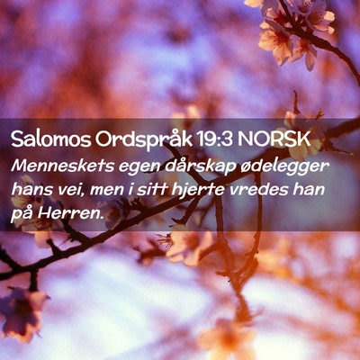 Picture 02 - Salomos Ordspråk 19:3 NORSK - Menneskets egen dårskap ødelegger hans vei, men - Bible Verse Picture