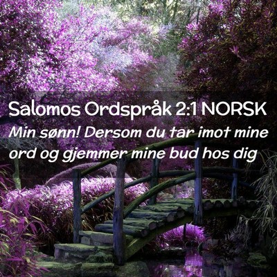 Picture 02 - Salomos Ordspråk 2:1 NORSK - Min sønn! Dersom du tar imot mine ord og gjemmer - Bible Verse Picture