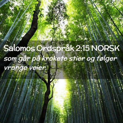 Picture 02 - Salomos Ordspråk 2:15 NORSK - som går på krokete stier og følger vrange - Bible Verse Picture